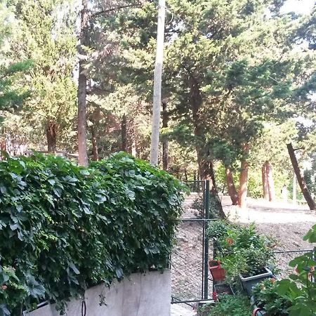 Anamarija Apartman Dubrovnik Eksteriør bilde