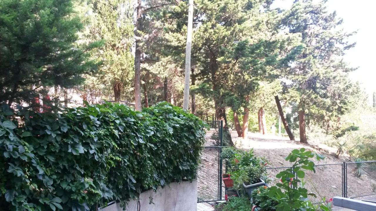 Anamarija Apartman Dubrovnik Eksteriør bilde