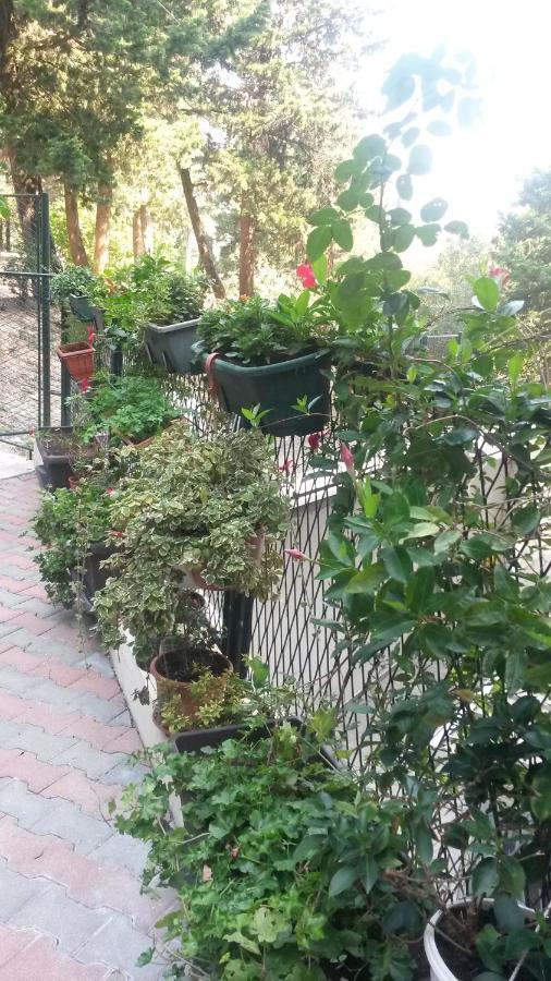 Anamarija Apartman Dubrovnik Eksteriør bilde